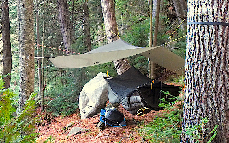 appalachian tent hamock on tree woods