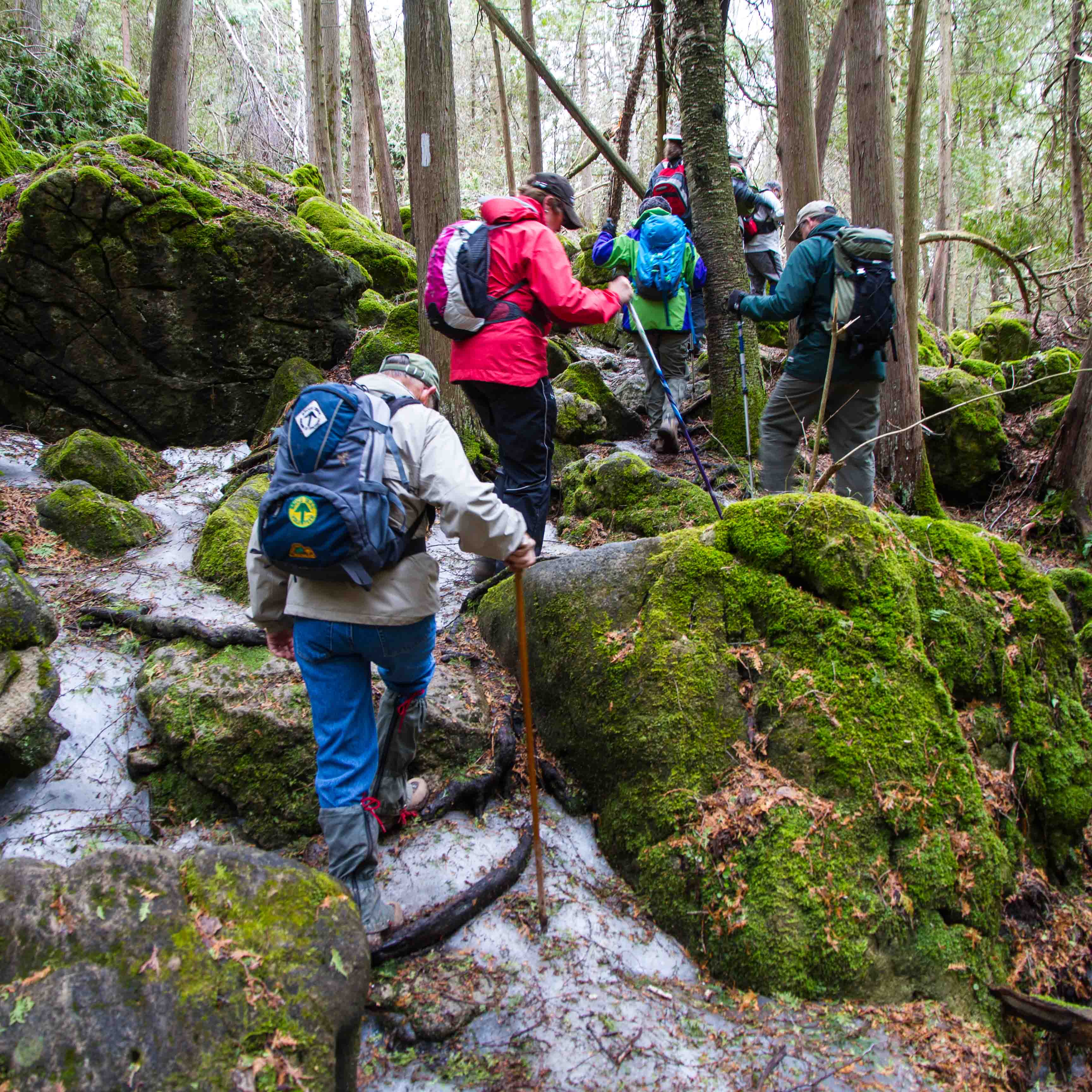 appalachian trekkers on trail up