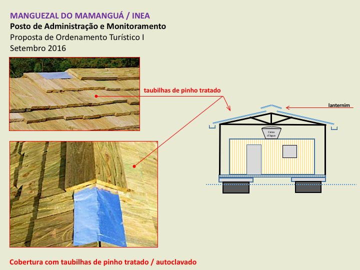 mamangua Slide10