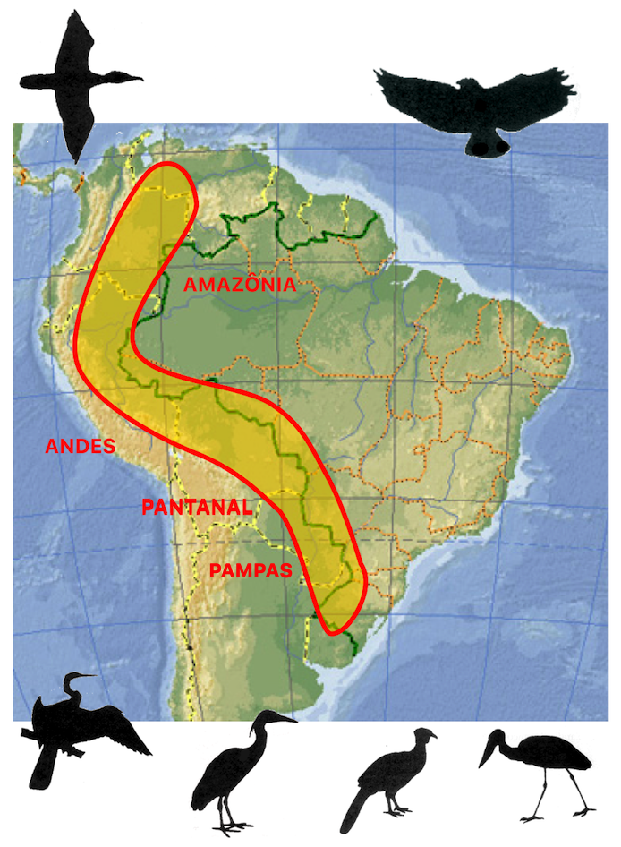 mapa corredor avifauna america do sul