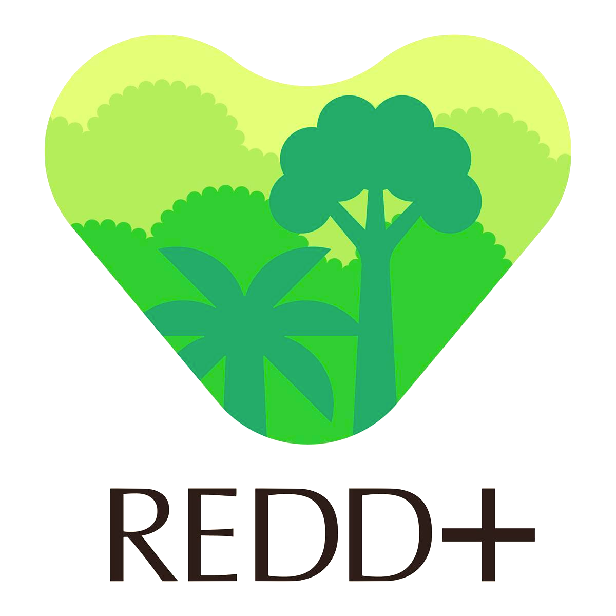 samauma REDD logo